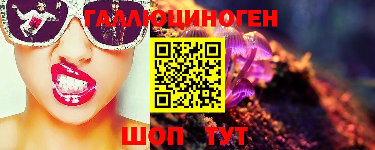 Галлюциногенные грибы Psilocybe  Вход с VPN  Железноводск  Псилоцибиновые грибы Magic Shrooms 